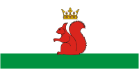 Флаг городского поселка Большая Берестовица и Берестовицкого района (Беларусь)